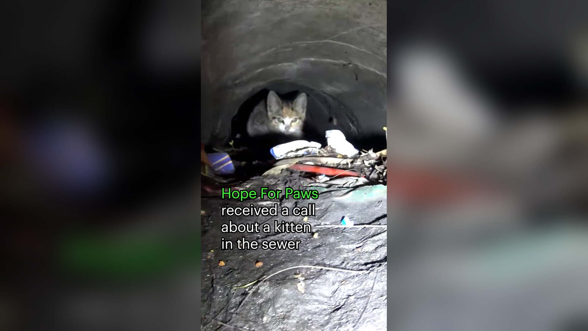 V0704009_This underground rescue required some negotiations on my part, and using a clever little trick, and