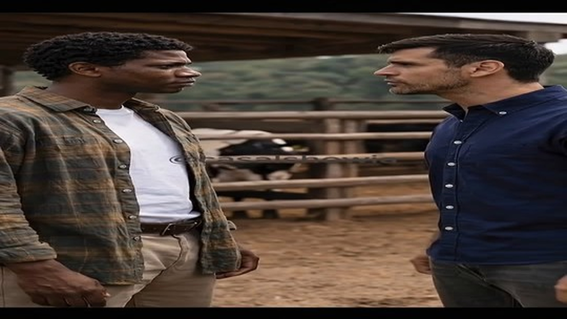 Parte 2 : V0906418 Onde foi parar o anel EP 1 #entretenimiento #fazenda #filhos #casal_part2. | Cheater Watch USA