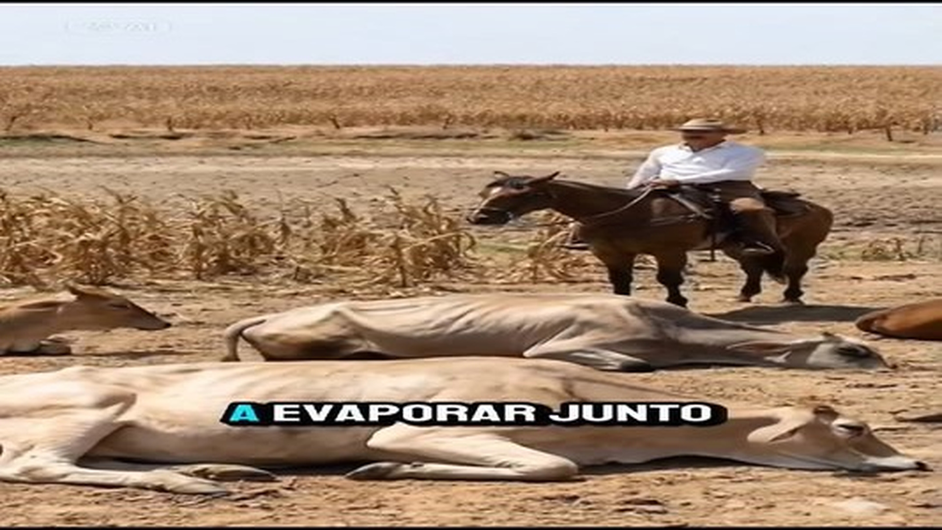 Parte 2 : V0906324_A terra era seca,mas a Fé não! | Cheater Watch USA
