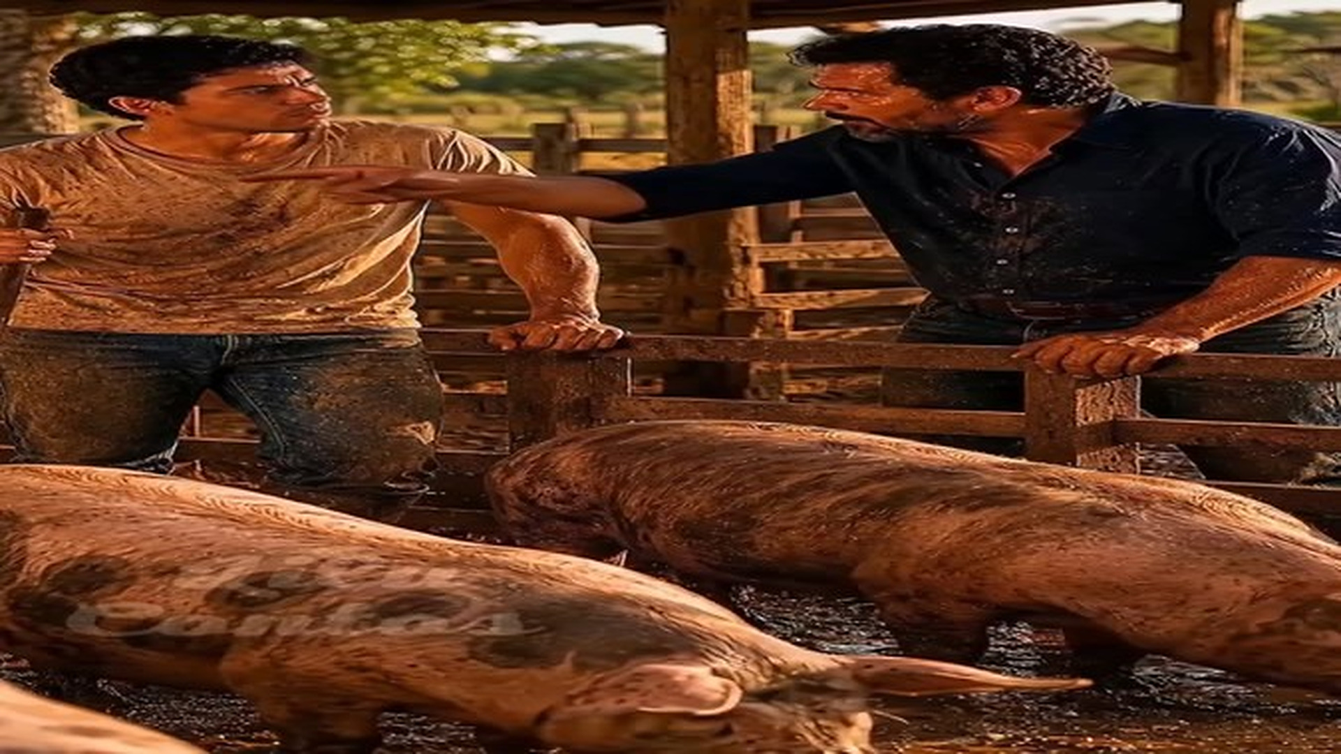 Parte 2 : V1707506 Pra Além da Porteira #drama #novelinhas #foryoupage #contos_part2. | Báo Online Buổi Sáng67