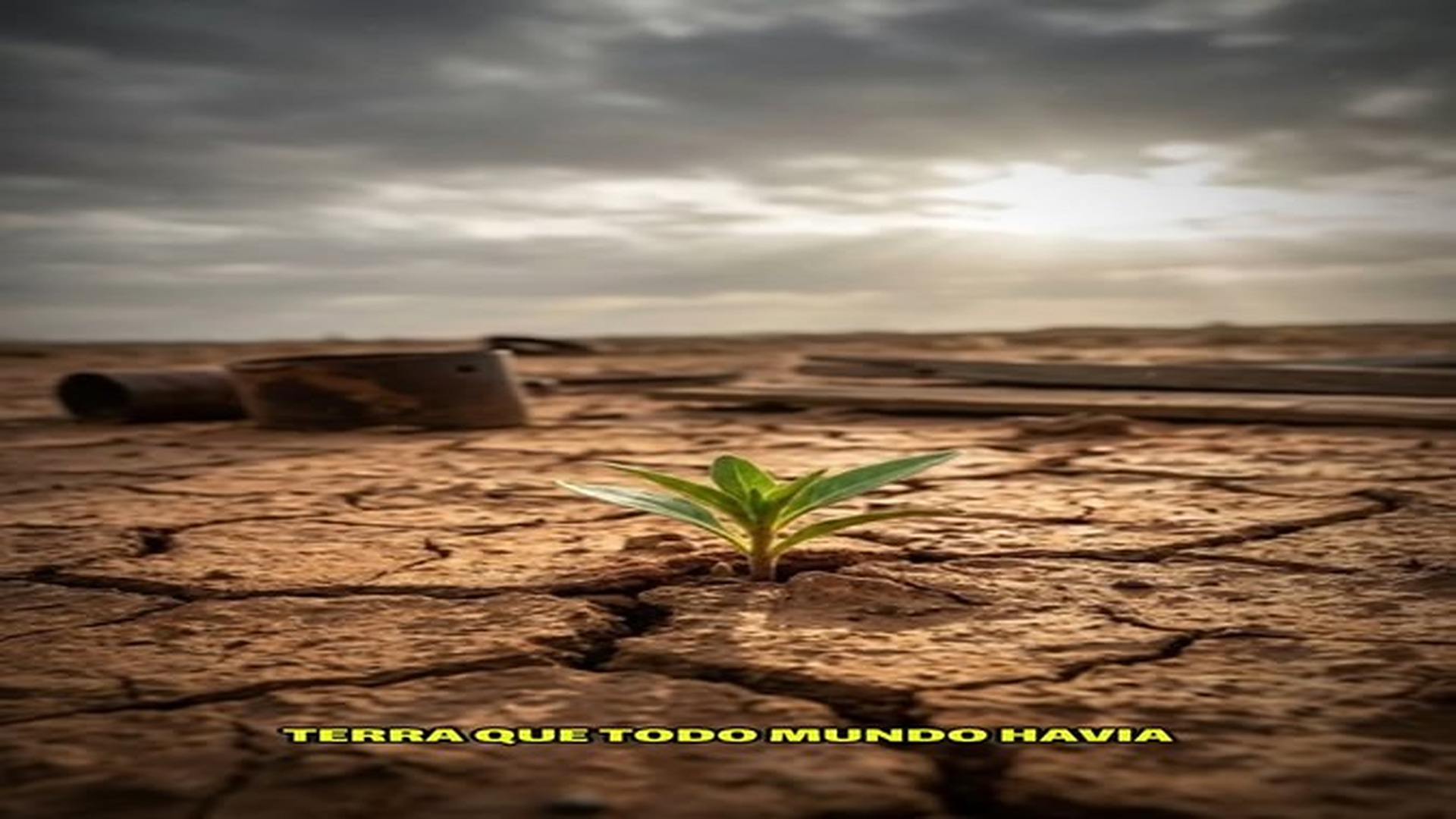 Parte 2 : V1707608 expulsa pelo fazendeiro, ela comprou um sítio abandonado com suas últim | Báo Online Buổi Sáng89