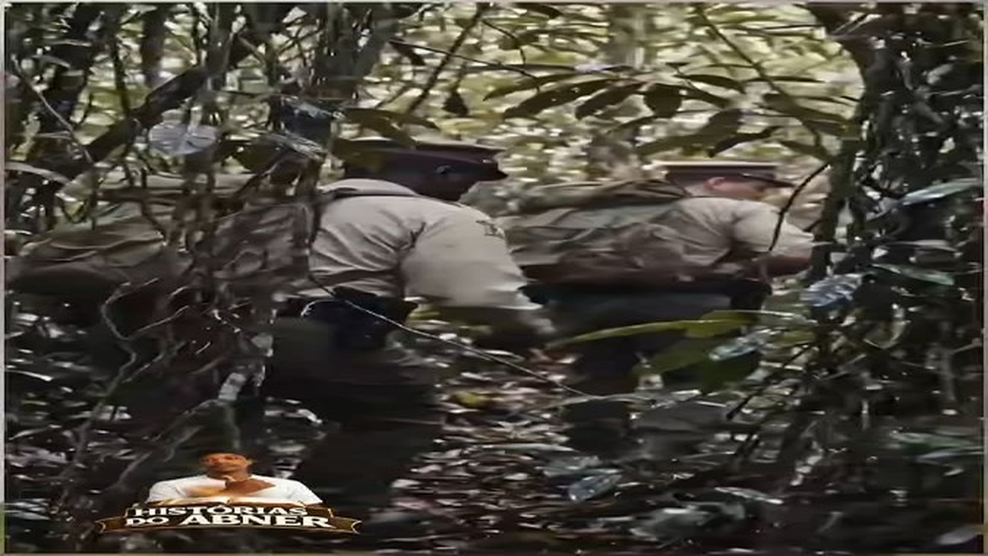 Parte 2 : V2707421 Três Irmãos, Um Segredo Sombrio E Um Pai Prestes a Descobrir | Baby Animal