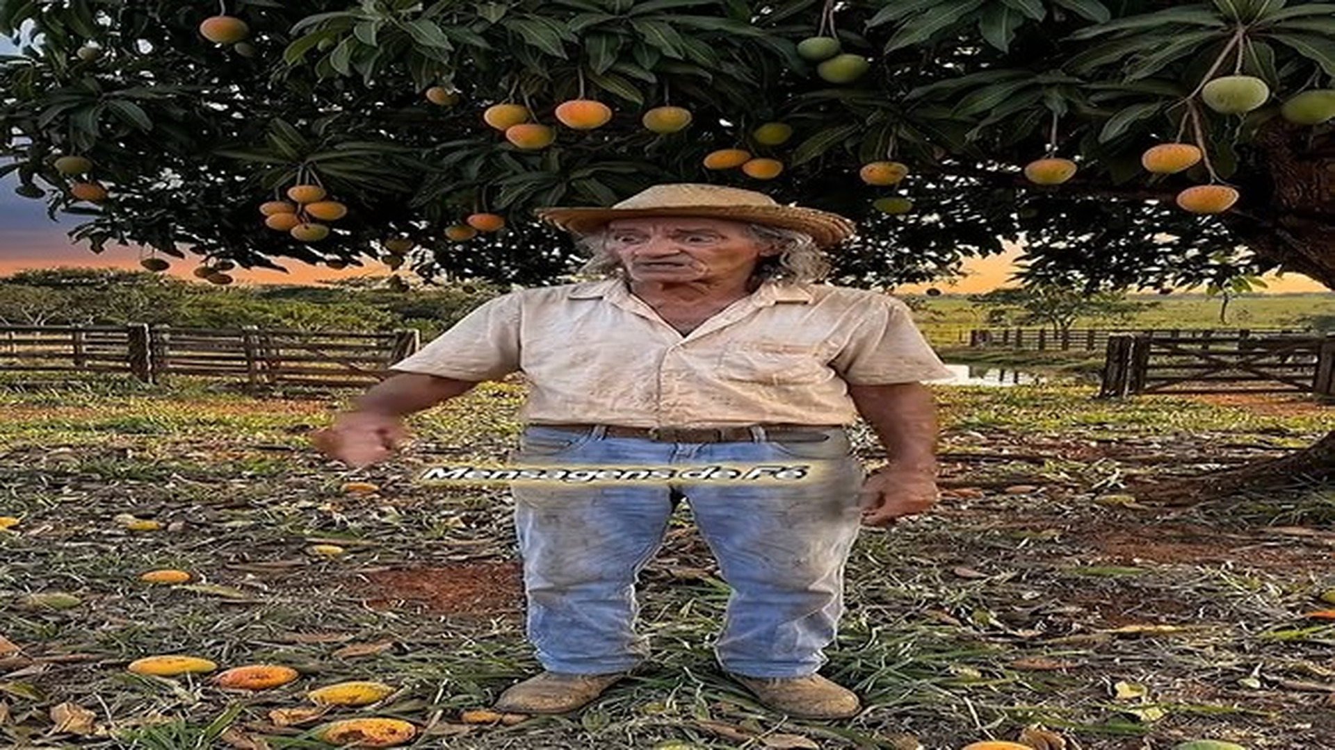 Parte 2 : V2707512 O Erro do Patrão e a Fé de Seu Antônio #reflexão #novela | Báo Online Buổi Sáng89