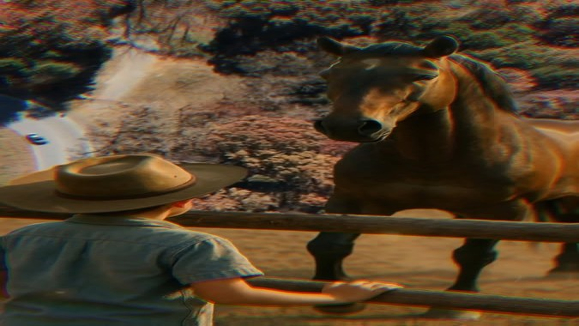 Parte 2 : V2707020 O Menino Domou o Cavalo Que Nenhum Cowboy Conseguia Controlar #DramaBrasil #Coragem #Superacao #Inspiracao | Cheater Watch USA