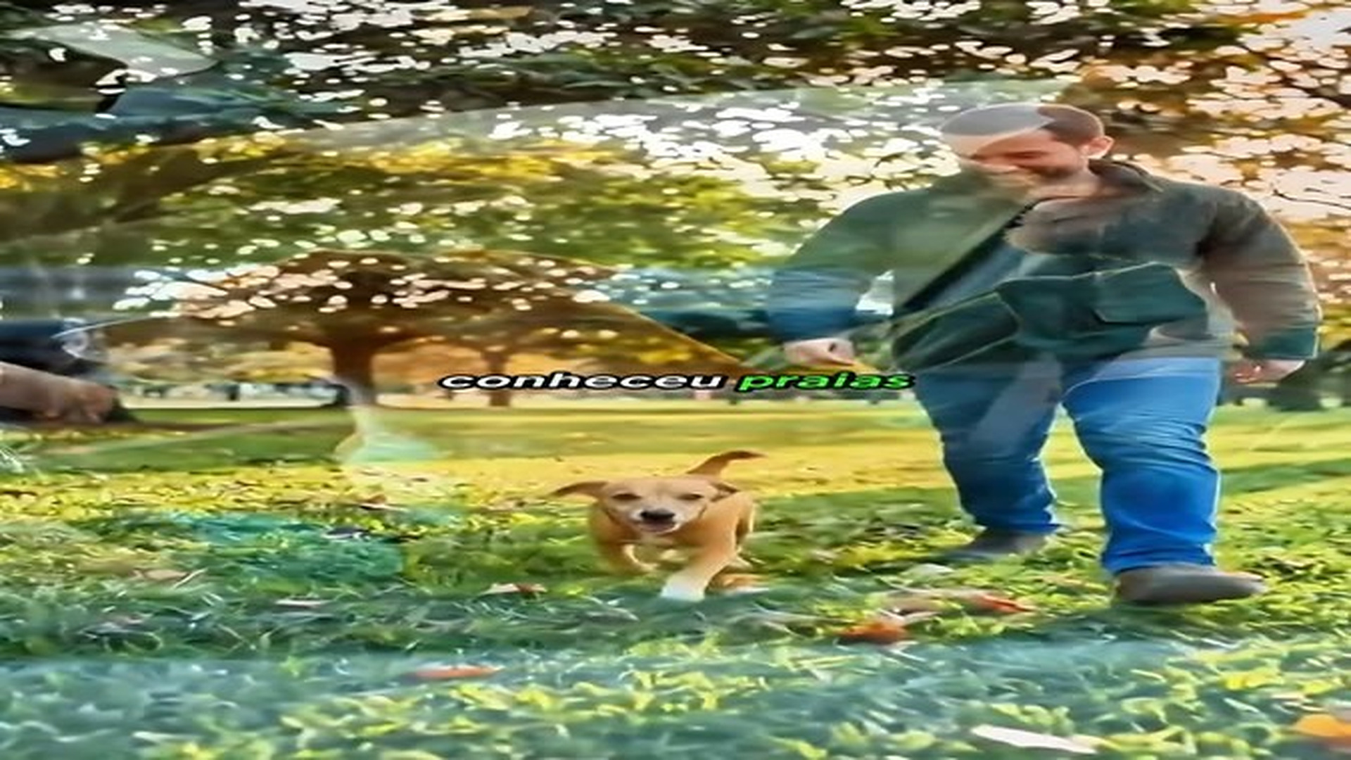 Parte 2 : V1008005 Cacal Esperou Por Quem Nunca Voltou... Sobreviveu à Enchente e ao Abandono, Mas Sua História Vai Te Surpreender #HistoriaEmocionante #Superacao #Reflexao #ViralBrasil | Cheater Watch USA